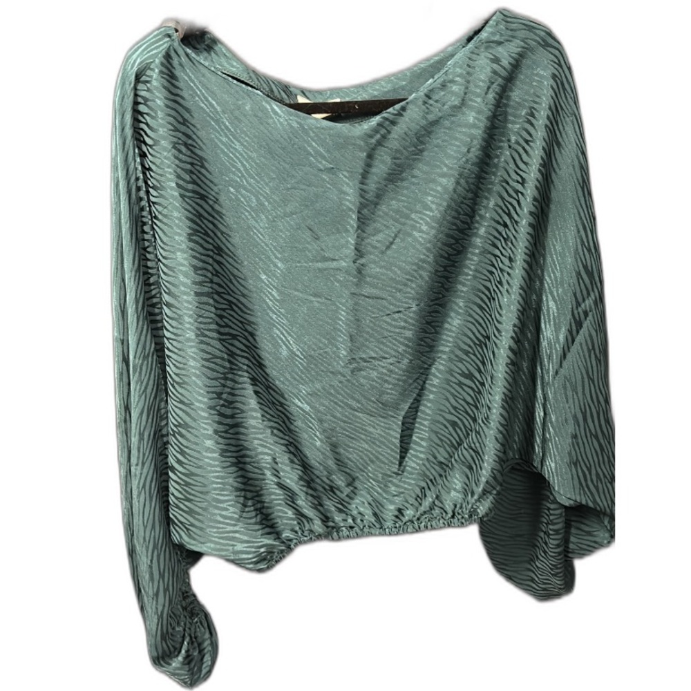 Silky Zebra Blouse 143 story by line up